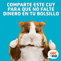 cuysejo abcdelbcp GIF by BCP
