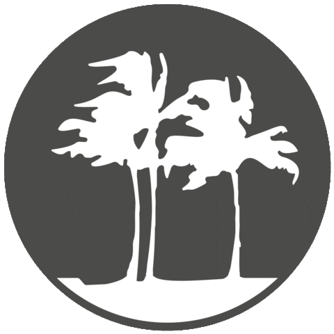 Palme Sticker by KiteWorldWide