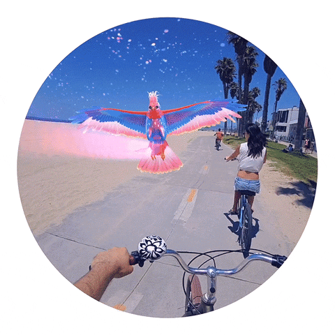 Animated GIF