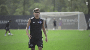 New York City Fc Peace GIF by NYCFC