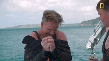 Gordon Ramsay Wetsuit GIF by National Geographic Channel