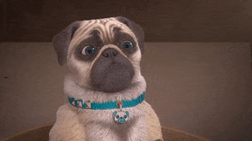 Fly Bug GIF by MightyMike