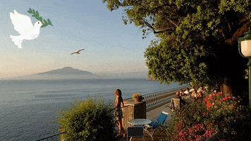 GIF by Ambasciatorisorrento