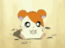 hamster what GIF