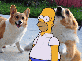 Homer Simpson GIFs - Find & Share on GIPHY