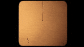 GIF by Family