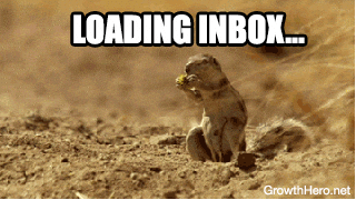 shocked squirrel GIF