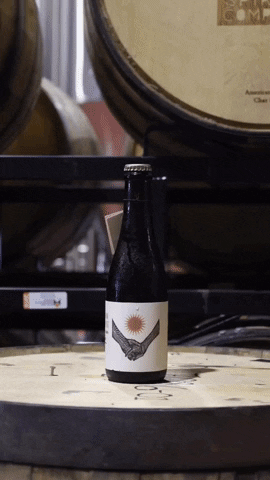 Beer Cheers GIF by UNION Craft Brewing