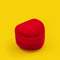 Propose Love You GIF by Ricola USA