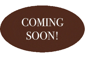 Real Estate Home Sticker by Savvy + Co. Real Estate