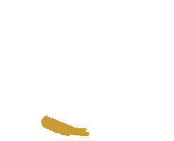 Highlight Sticker by Grace Prep Academy