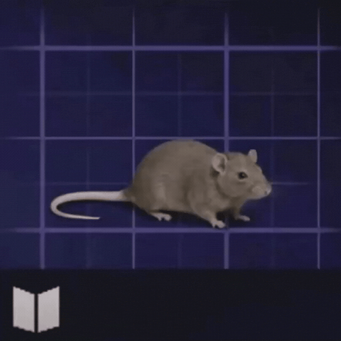 Arc Raiders GIF