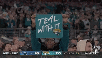 Jacksonville Jaguars Deal With It GIF by NFL