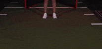 GIF by Lafayette Leopards