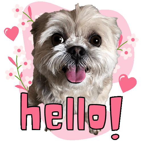 Pretty In Pink Hello Sticker for iOS & Android | GIPHY