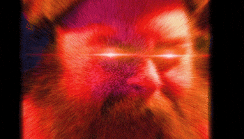 Beard GIF