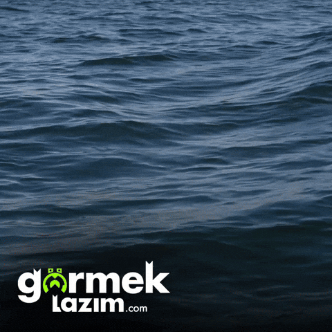 Shocked Surprise GIF by Görmek Lazım