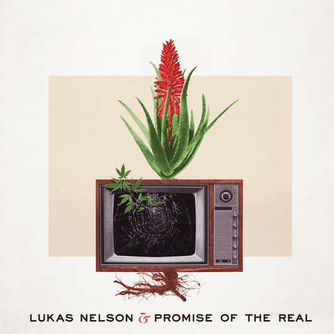Good News GIF by Lukas Nelson & Promise Of The Real