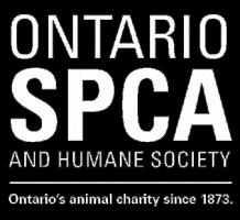 Rescue Chairty GIF by Ontario SPCA