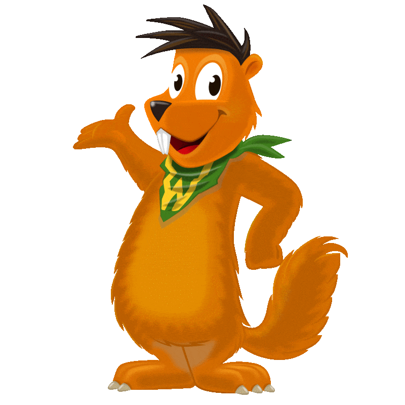 Snow Space Salzburg Sticker