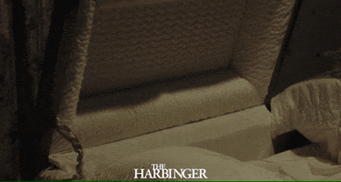 Horror Film Bang GIF by Signature Entertainment