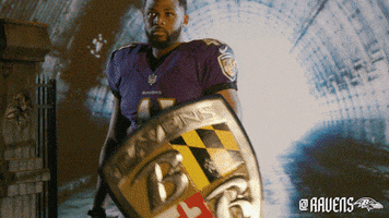 Reflect Anthony Levine GIF by Baltimore Ravens