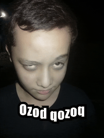 Shakh GIF