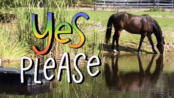 Freerideequestrian GIF