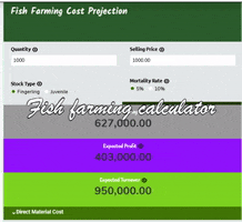 Startup Cost For Business GIF