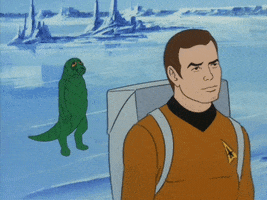 Star Trek Kirk GIF