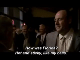Tepmumbs  GIF