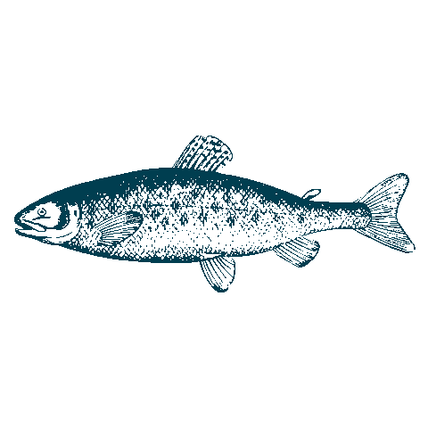 CVis & Co Sticker