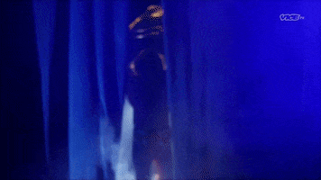 Ultimate Warrior Wwe GIF by DARK SIDE OF THE RING