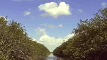 Tyler The Creator GIF
