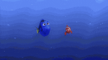 finding nemo whale GIF by Disney Pixar