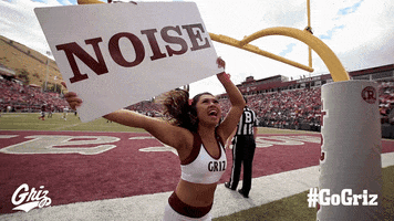 Football Noise GIF by Montana Grizzlies