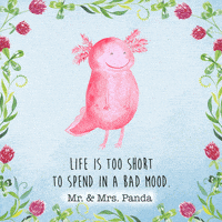 Happy Mexican Walking Fish GIF by Mr. & Mrs. Panda