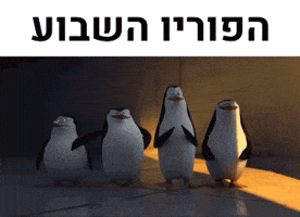 Happy Penguin GIF