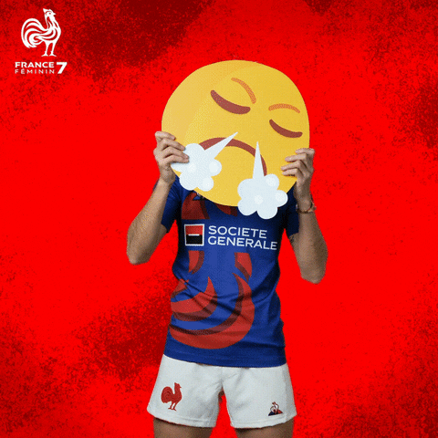 Non GIF by France Rugby