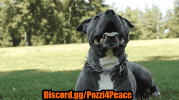 GIF by Pozzi4Peace