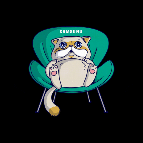 Cat Wow GIF by Samsung Argentina