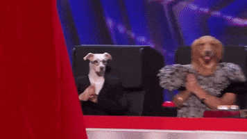 Reality TV gif. Scene from America’s Got Talent. Curtain slides and reveals a dog wearing glasses, wearing a suit, and having human arms. He looks like he’s sitting at a judges table with a red buzzer in front of him. The dog with a blank expression claps and waves.