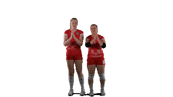 Sport Volleyball Sticker by LP Viesti