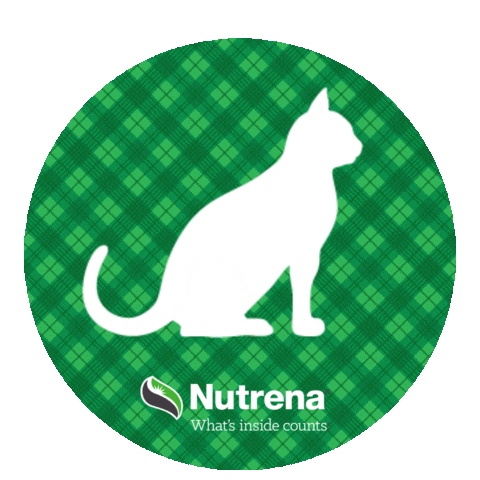 Cat Kitty Sticker by Nutrena Feed