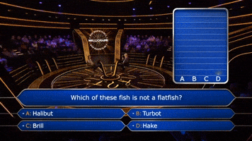 Wwtbams5E517 GIF by Stellify Media