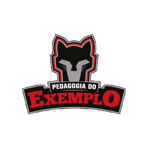 Pedagogia Exemplo Sticker by Sesi Esporte