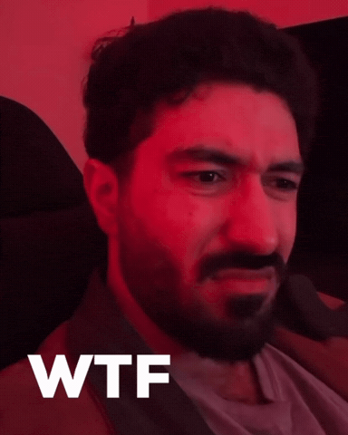 Wtf GIF