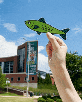Information Security College GIF by UAB Information Technology
