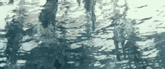 imax  GIF