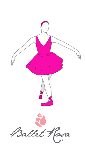 Dance Stretching Sticker by Ballet Rosa